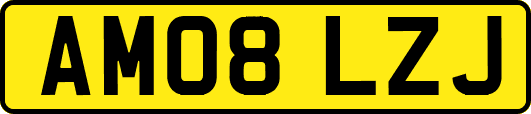 AM08LZJ