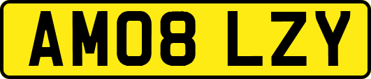 AM08LZY