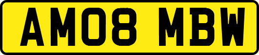 AM08MBW