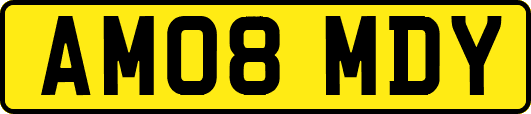 AM08MDY