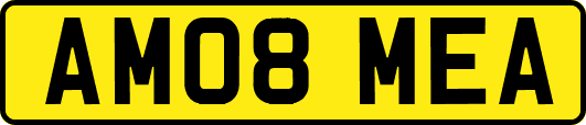 AM08MEA