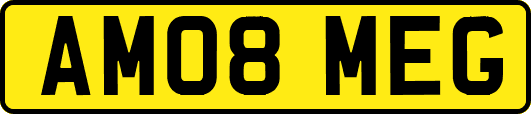 AM08MEG