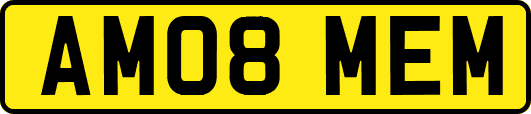 AM08MEM