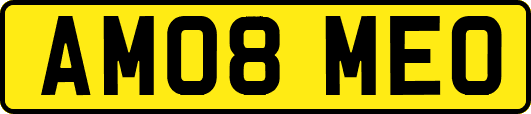 AM08MEO