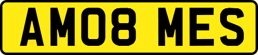 AM08MES