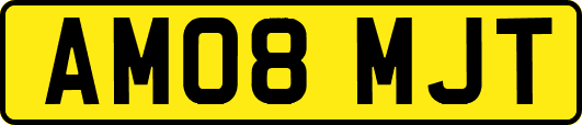 AM08MJT