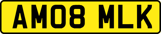 AM08MLK