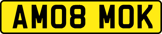 AM08MOK