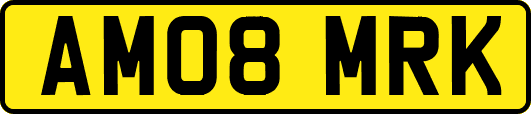 AM08MRK