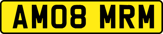 AM08MRM