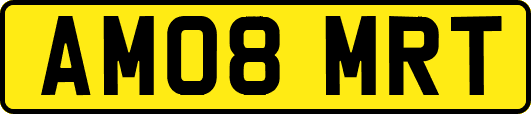 AM08MRT