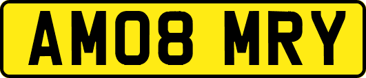 AM08MRY