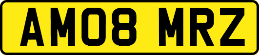 AM08MRZ