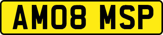 AM08MSP