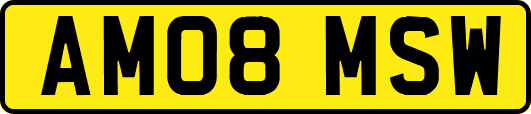 AM08MSW