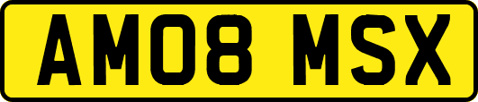 AM08MSX