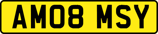AM08MSY