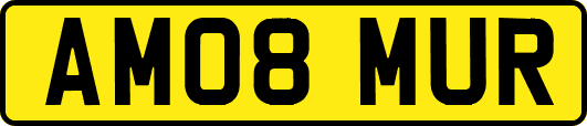 AM08MUR