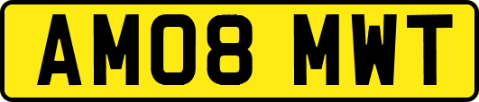 AM08MWT