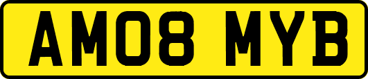 AM08MYB