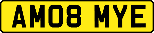 AM08MYE
