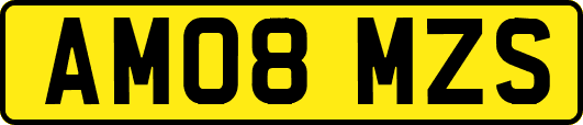 AM08MZS