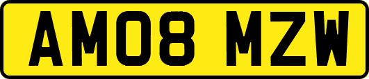AM08MZW