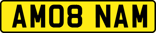 AM08NAM