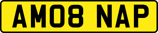 AM08NAP
