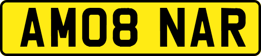 AM08NAR