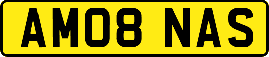 AM08NAS