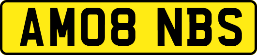 AM08NBS