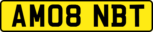 AM08NBT