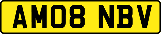 AM08NBV