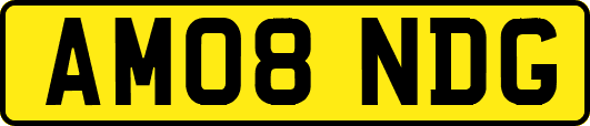 AM08NDG