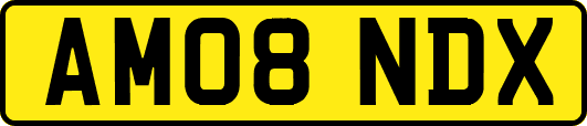AM08NDX