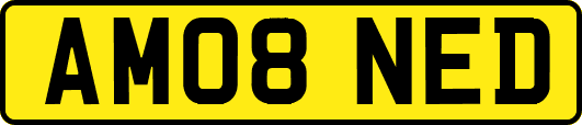 AM08NED