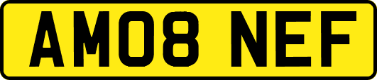 AM08NEF