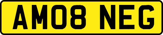 AM08NEG