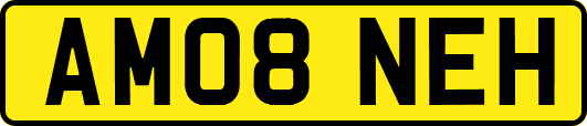 AM08NEH