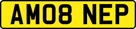 AM08NEP