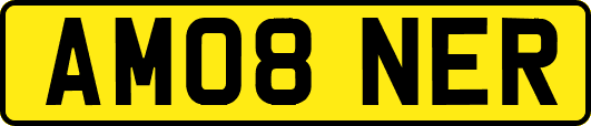 AM08NER