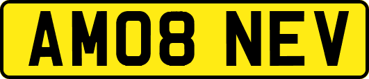 AM08NEV