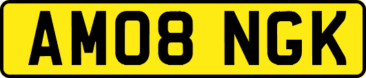 AM08NGK