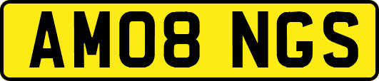AM08NGS
