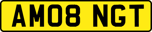AM08NGT