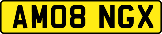 AM08NGX