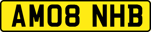 AM08NHB