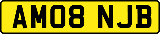 AM08NJB