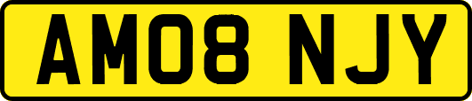 AM08NJY